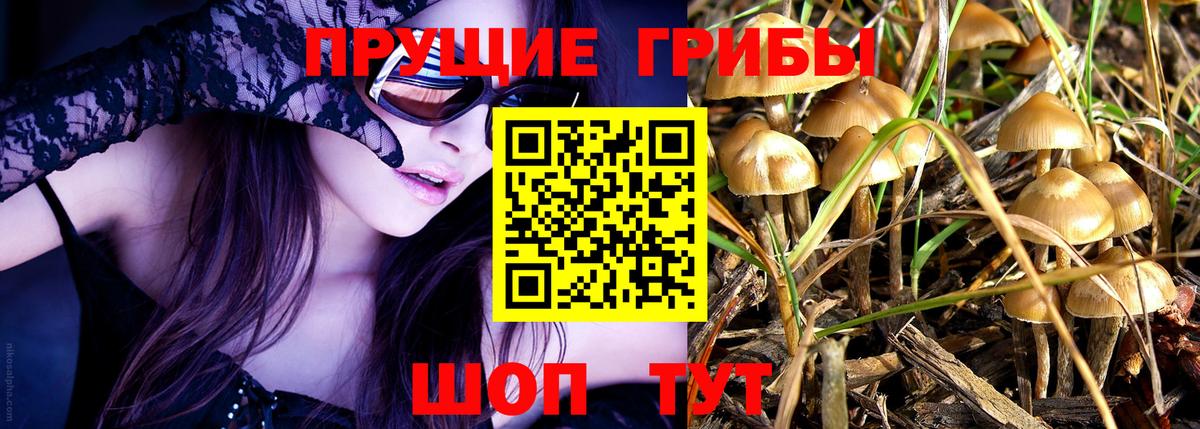 Крымск  Галлюциногенные грибы Psilocybe  Вход с VPN 